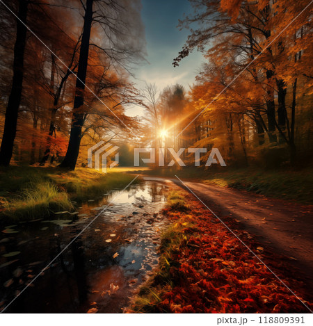 Sunny autumn day in the forest 118809391