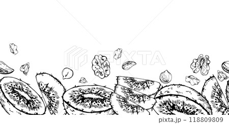 Sliced kiwi fruit and nuts mix for diet, healthy lifestyle, vegan cooking. Hand drawn vector ink. Illustration seamless border isolated on white background. Design recipe book, website, card, menu Sliced kiwi fruit and nuts mix for diet, healthy lifestyle, vegan cooking. Hand drawn vector ink. Illustration seamless border isolated on white background. Design recipe book, website, card, menu 118809809