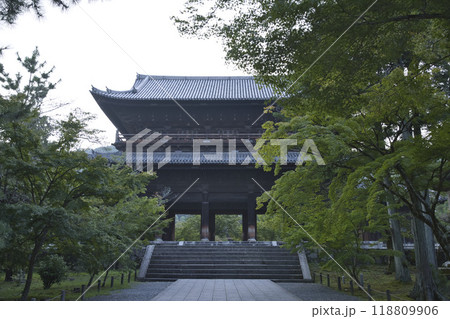 南禅寺参道　青もみじと三門6 118809906
