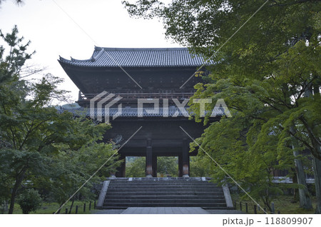 南禅寺参道 青もみじと三門7 南禅寺参道 青もみじと三門7 118809907