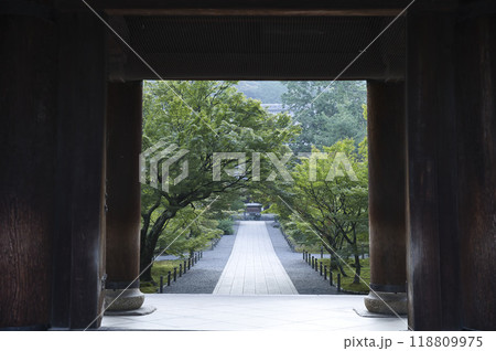 南禅寺三門から臨む参道と青もみじ1 118809975