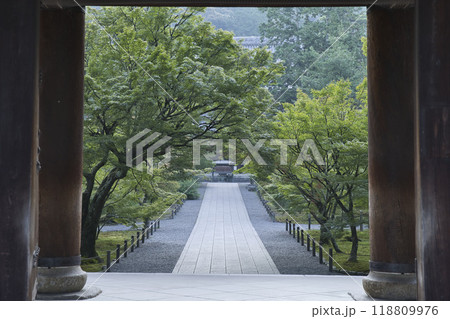 南禅寺三門から臨む参道と青もみじ2 南禅寺三門から臨む参道と青もみじ2 118809976