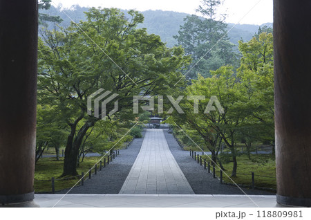 南禅寺三門から臨む参道と青もみじ3 南禅寺三門から臨む参道と青もみじ3 118809981