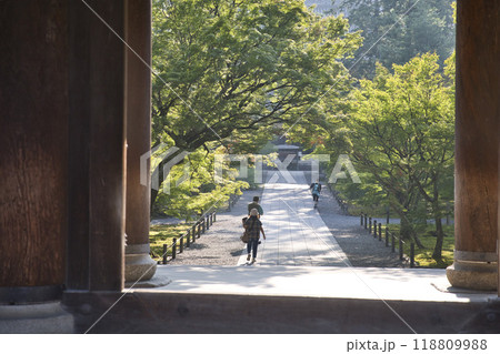 南禅寺 朝日に照らされ出来た光と影4 南禅寺 朝日に照らされ出来た光と影4 118809988