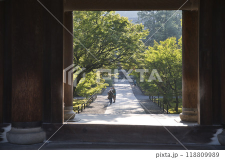 南禅寺　朝日に照らされ出来た光と影5 118809989
