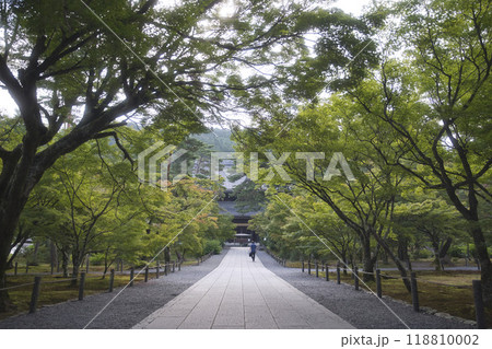 南禅寺　青もみじのトンネルと静寂の参道7 118810002