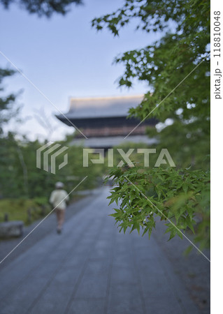 南禅寺 青もみじと三門4 南禅寺 青もみじと三門4 118810048