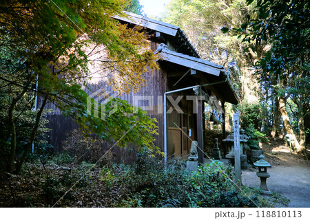 宮路山の紅葉景色 118810113