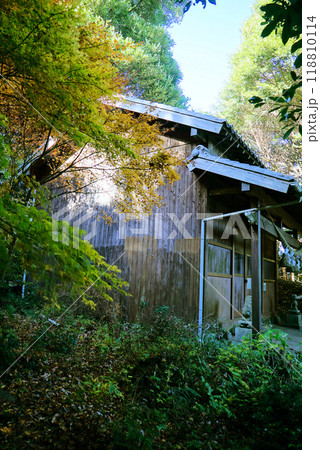 宮路山の紅葉景色 118810114