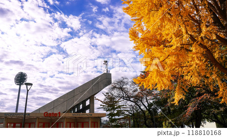 大宮公園　NACK5スタジアム大宮付近の紅葉 118810168