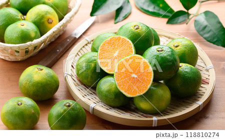 秋の味覚 早生みかん 温州みかん ( 青と黄色がまざりつつある蜜柑 )早生蜜柑 秋の味覚 早生みかん 温州みかん ( 青と黄色がまざりつつある蜜柑 )早生蜜柑 118810274