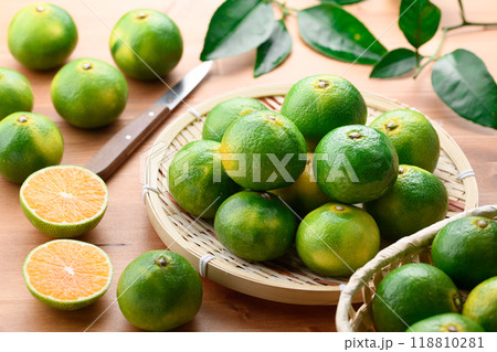 秋の味覚 早生みかん 温州みかん ( 青と黄色がまざりつつある蜜柑 ）早生蜜柑 118810281