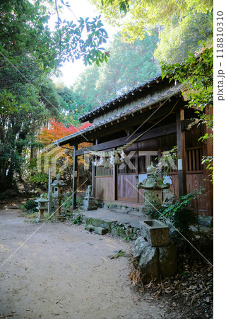 宮路山の紅葉景色 118810310