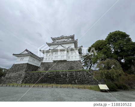 小田原城 ☆mar_lapin 小田原城 ☆mar_lapin 118810522