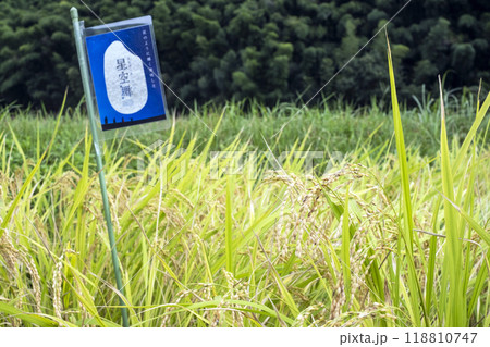 米 星空舞 鳥取県 米 星空舞 鳥取県 118810747