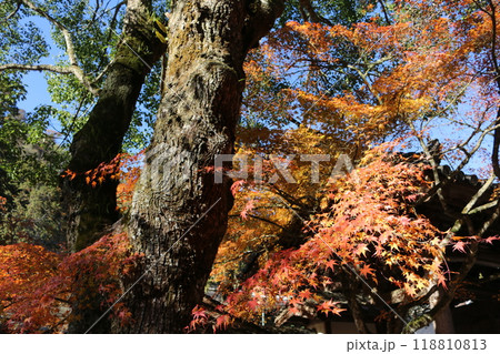 広島　佛通寺 118810813