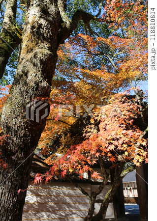 広島 佛通寺 広島 佛通寺 118810814
