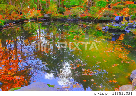 水面に青空や紅葉を映し込む日本庭園の池 118811031