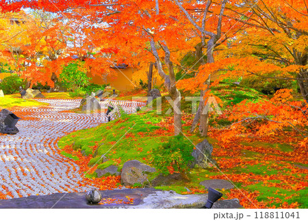鮮やかな紅葉の円通院庭園 118811041