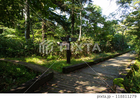 尾瀬 御池登山道の道標 尾瀬 御池登山道の道標 118811279