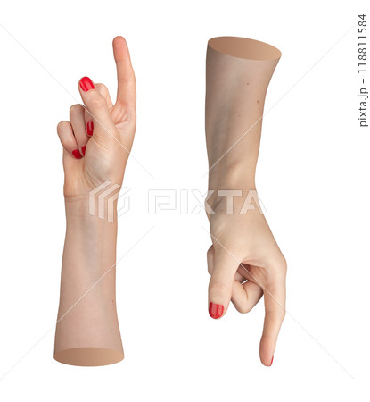 Index finger, pointer pointing up and down, hand gesture for indicating, showing direction. Isolated 118811584