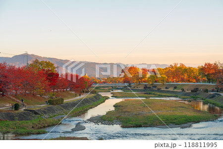 京都の夕景 加茂川の秋景色 京都の夕景 加茂川の秋景色 118811995
