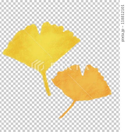 Simple multiple ginkgo leaves, crayon touch, yellow 118812101