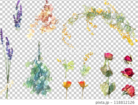 乾燥花插畫素材組2(含羞草、尤加利、薰衣草等) 乾燥花插畫素材組2(含羞草、尤加利、薰衣草等) 118812126