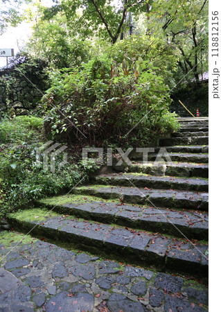 静寂の誘い、苔むす石段 118812156