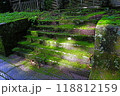 静寂の誘い、苔むす石段 118812159