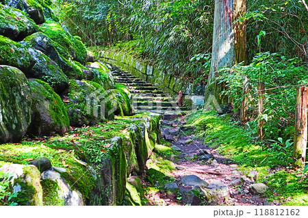 静寂の誘い、苔むす石段 118812162