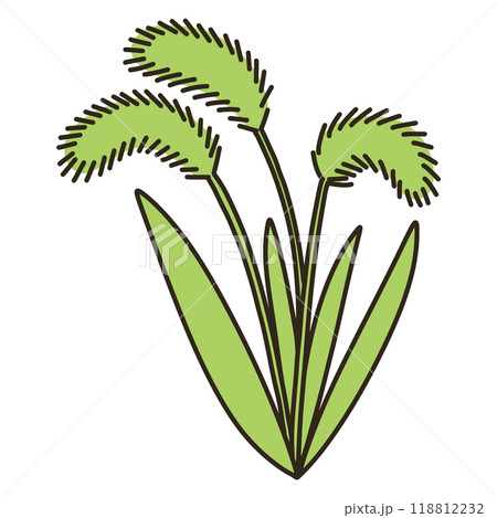 エノコログサ 118812232