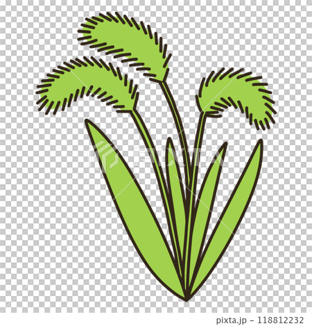 エノコログサ 118812232