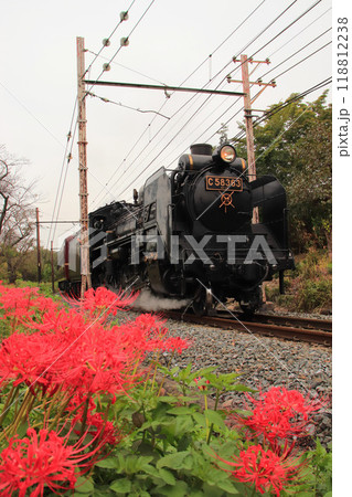 彼岸花が咲く初秋の秩父路を往くパレオエクスプレス 118812238