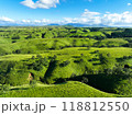 阿蘇南小国「押戸石の丘」の広大な丘と草原01 阿蘇南小国「押戸石の丘」の広大な丘と草原01 118812550