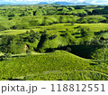 阿蘇南小国「押戸石の丘」の広大な丘と草原02 阿蘇南小国「押戸石の丘」の広大な丘と草原02 118812551
