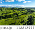 阿蘇南小国「押戸石の丘」の広大な丘と草原06 阿蘇南小国「押戸石の丘」の広大な丘と草原06 118812555