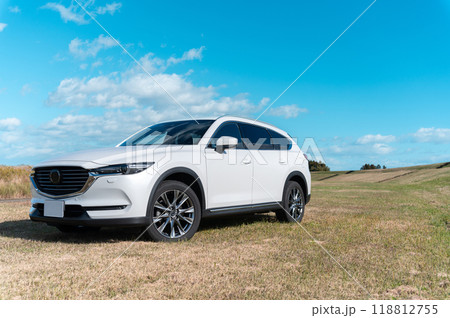 白いSUVタイプの乗用車 白いSUVタイプの乗用車 118812755