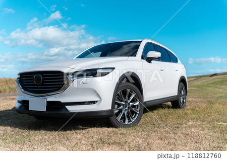 白いSUVタイプの乗用車 118812760