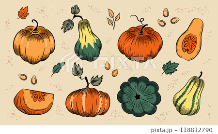 Autumn pumpkin sketch set. Whole pumpkins of various shapes, piece of pumpkin, leaves and seeds. Color hand-drawn vector illustration clipart. Autumn pumpkin sketch set. Whole pumpkins of various shapes, piece of pumpkin, leaves and seeds. Color hand-drawn vector illustration clipart. 118812790