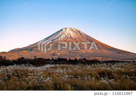 ススキの原っぱ越しに見る夕方の赤く染まり始めた富士山 ススキの原っぱ越しに見る夕方の赤く染まり始めた富士山 118812867