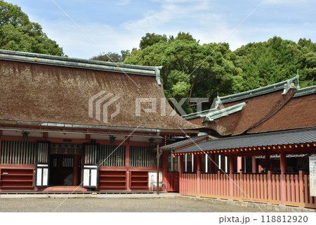 津島神社　拝殿と回廊(愛知県津島市) 118812920