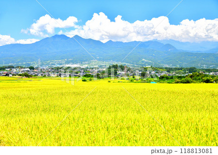 山梨県韮崎市旭町上條より韮崎IC、茅ヶ岳方面を望む(山梨県韮崎市)【2024.9】 山梨県韮崎市旭町上條より韮崎IC、茅ヶ岳方面を望む(山梨県韮崎市)【2024.9】 118813081