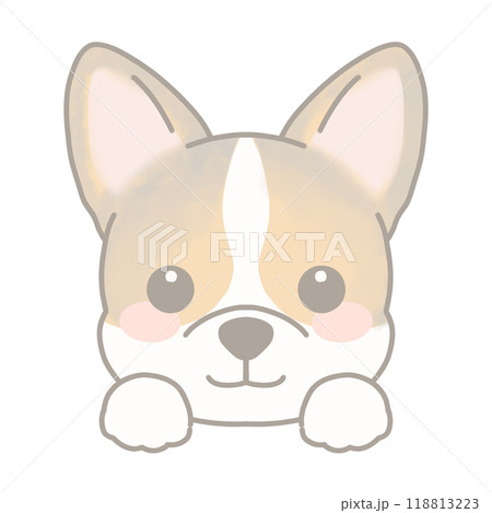 コーギーのイラスト 118813223