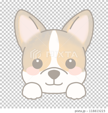 コーギーのイラスト 118813223