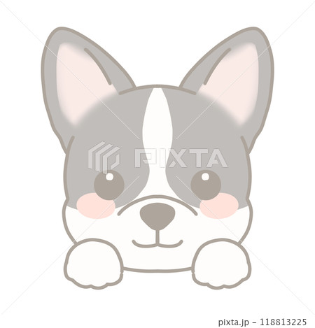 コーギーのイラスト コーギーのイラスト 118813225