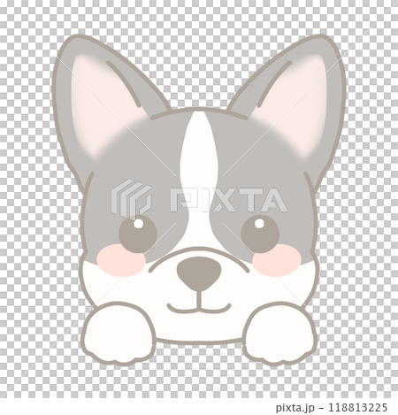 コーギーのイラスト コーギーのイラスト 118813225