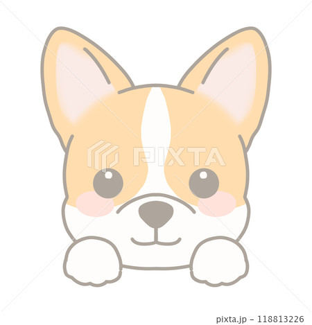 コーギーのイラスト コーギーのイラスト 118813226