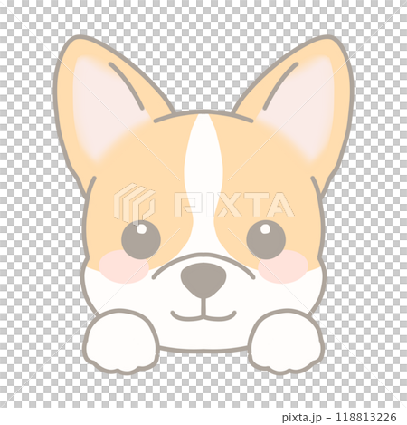 コーギーのイラスト コーギーのイラスト 118813226