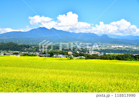 山梨県韮崎市旭町上條より韮崎市役所、茅ヶ岳方面を望む(山梨県韮崎市)【2024.9】 118813990
